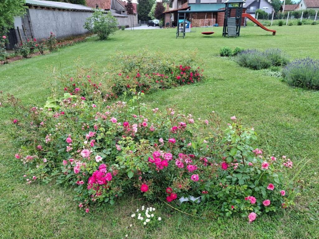 Kuca Za Odmor Vallirea Kaptol Buitenkant foto